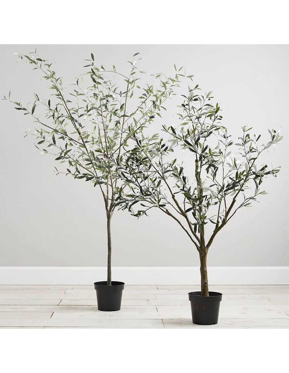 Árbol Potted Olive Faux 180 cm con maceta