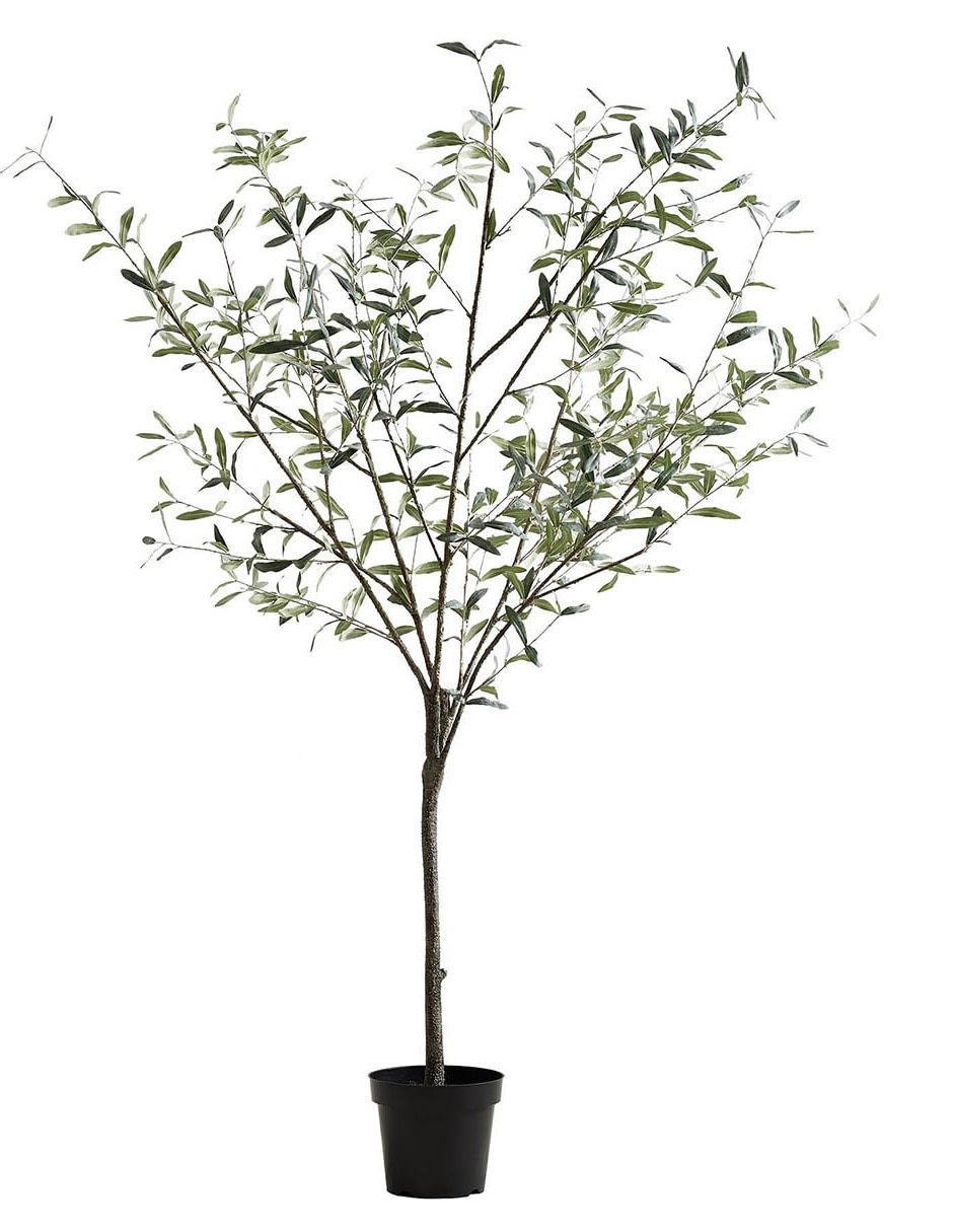 Árbol Potted Olive Faux 180 cm con maceta 21