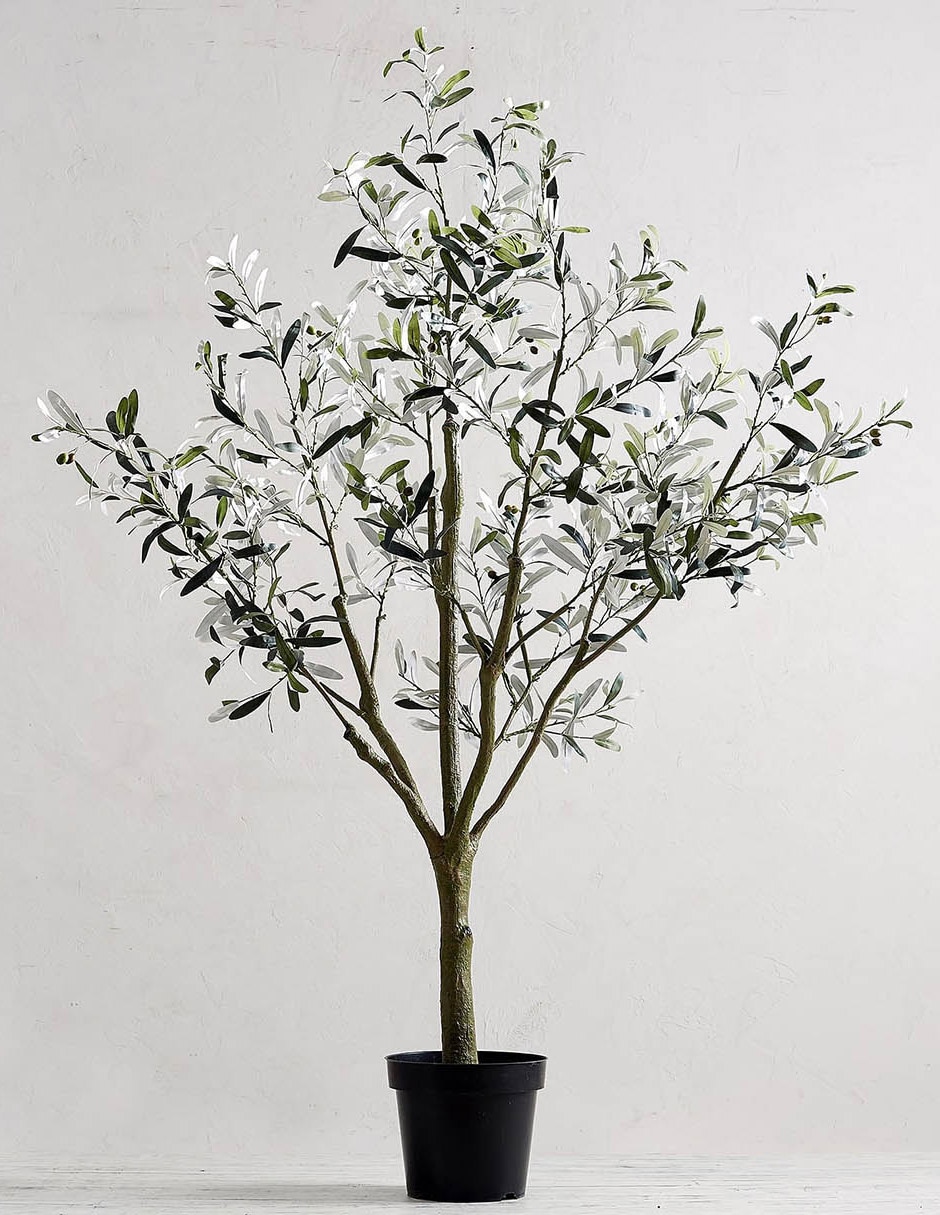 Árbol Potted Olive Faux 180 cm con maceta 12