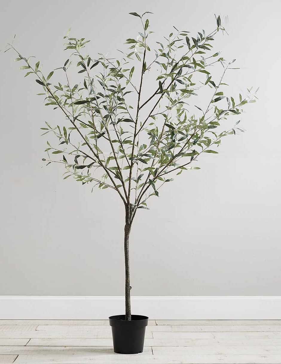 Árbol Potted Olive Faux 180 cm con maceta 13