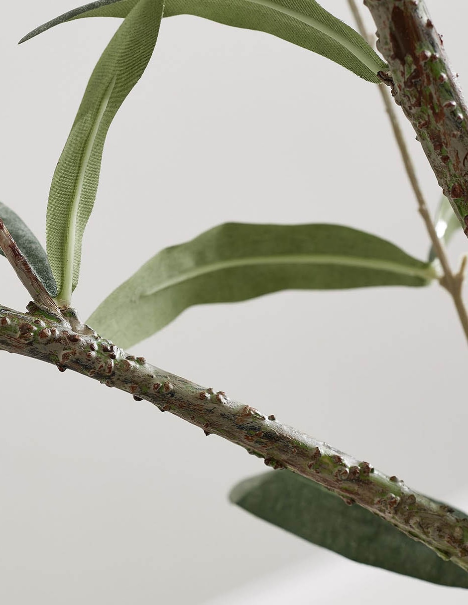 Árbol Potted Olive Faux 180 cm con maceta 14
