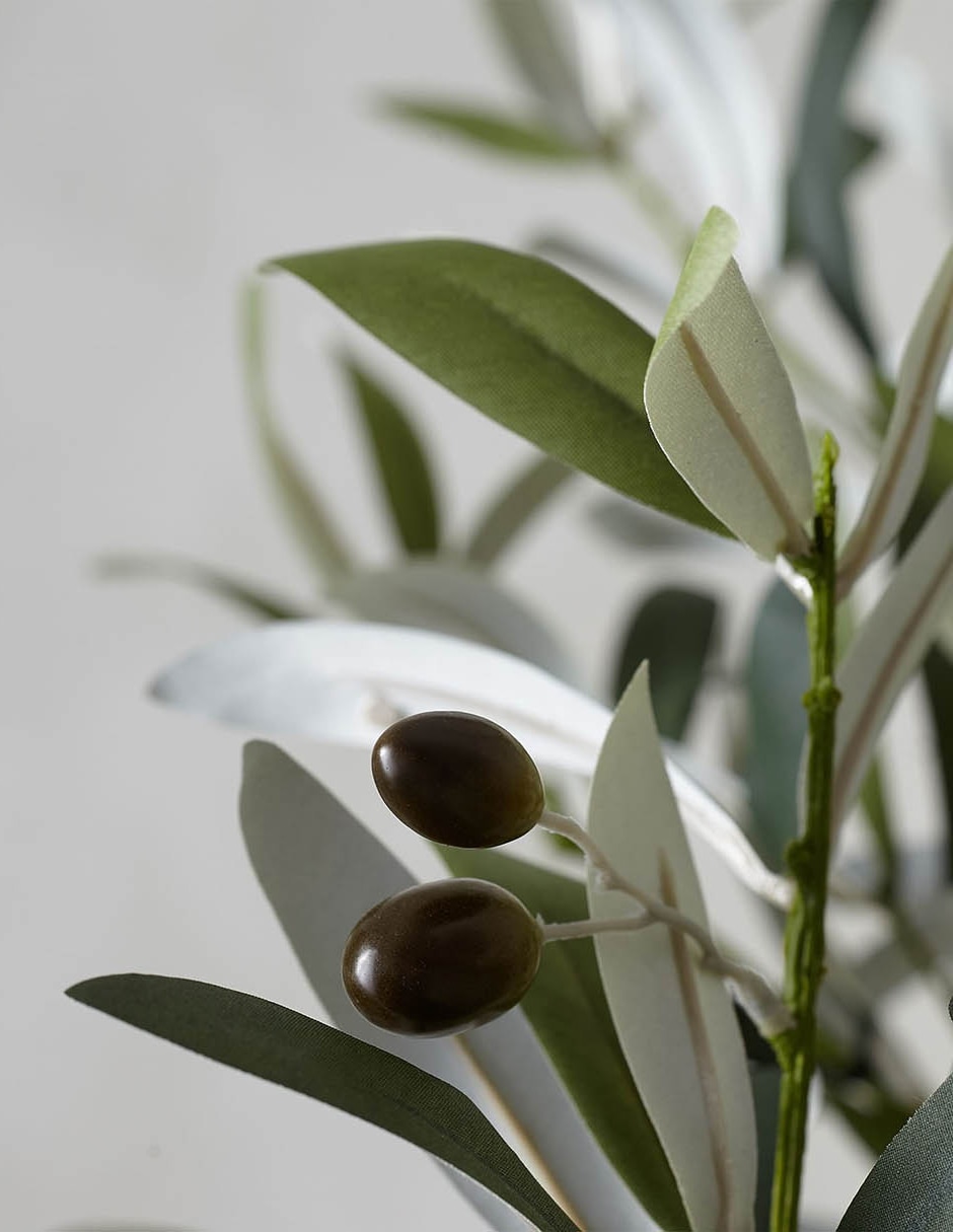 Árbol Potted Olive Faux 180 cm con maceta 15