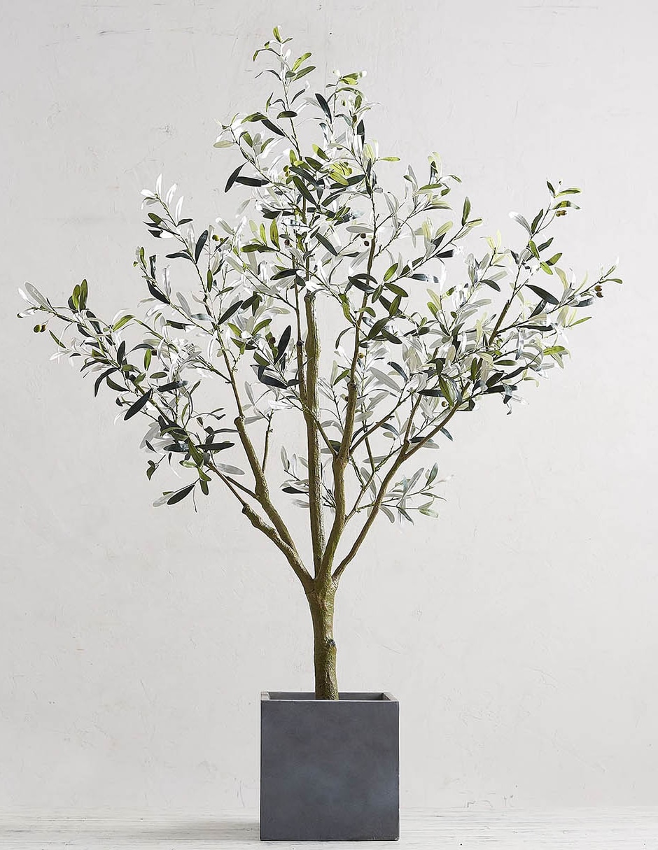 Árbol Potted Olive Faux 180 cm con maceta 19