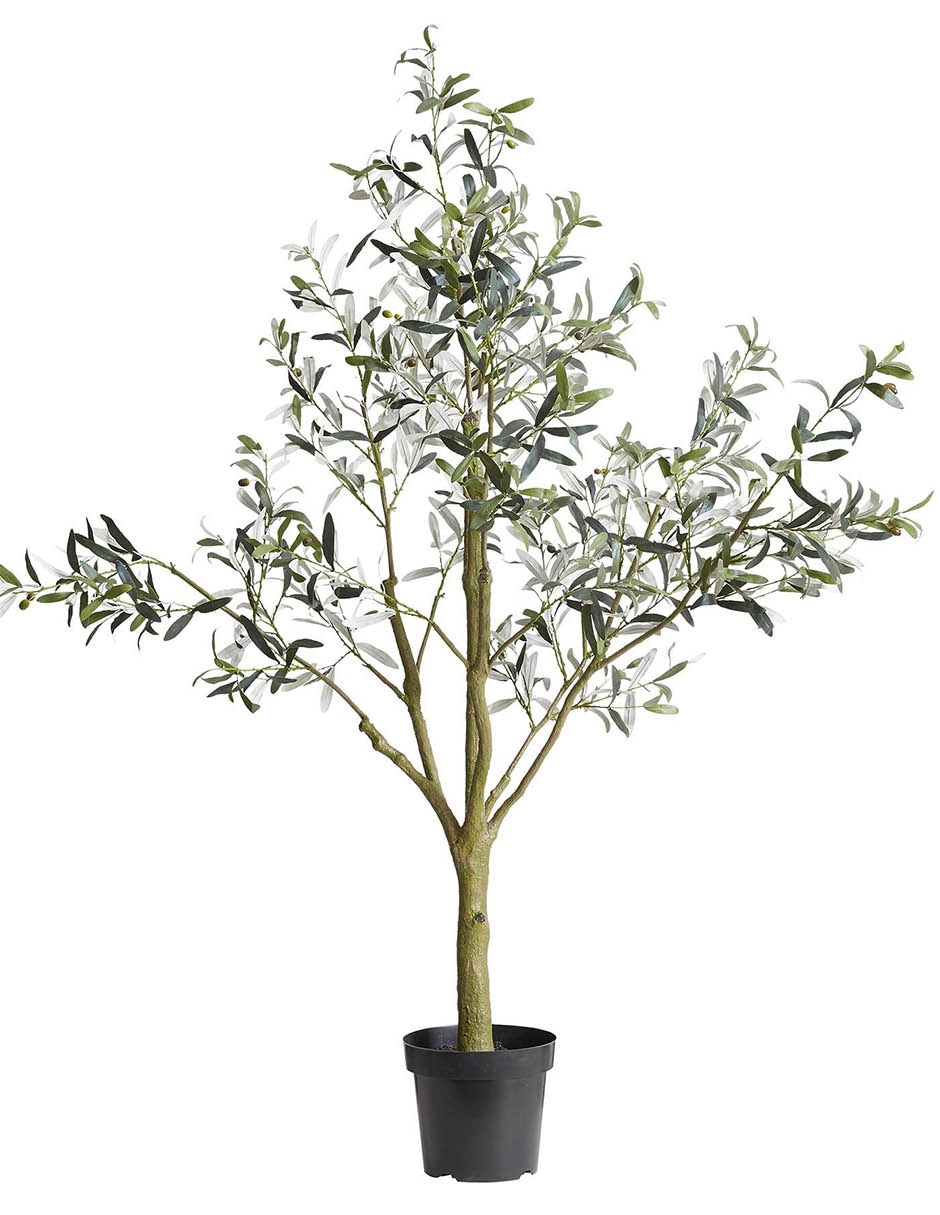 Árbol Potted Olive Faux 180 cm con maceta 20