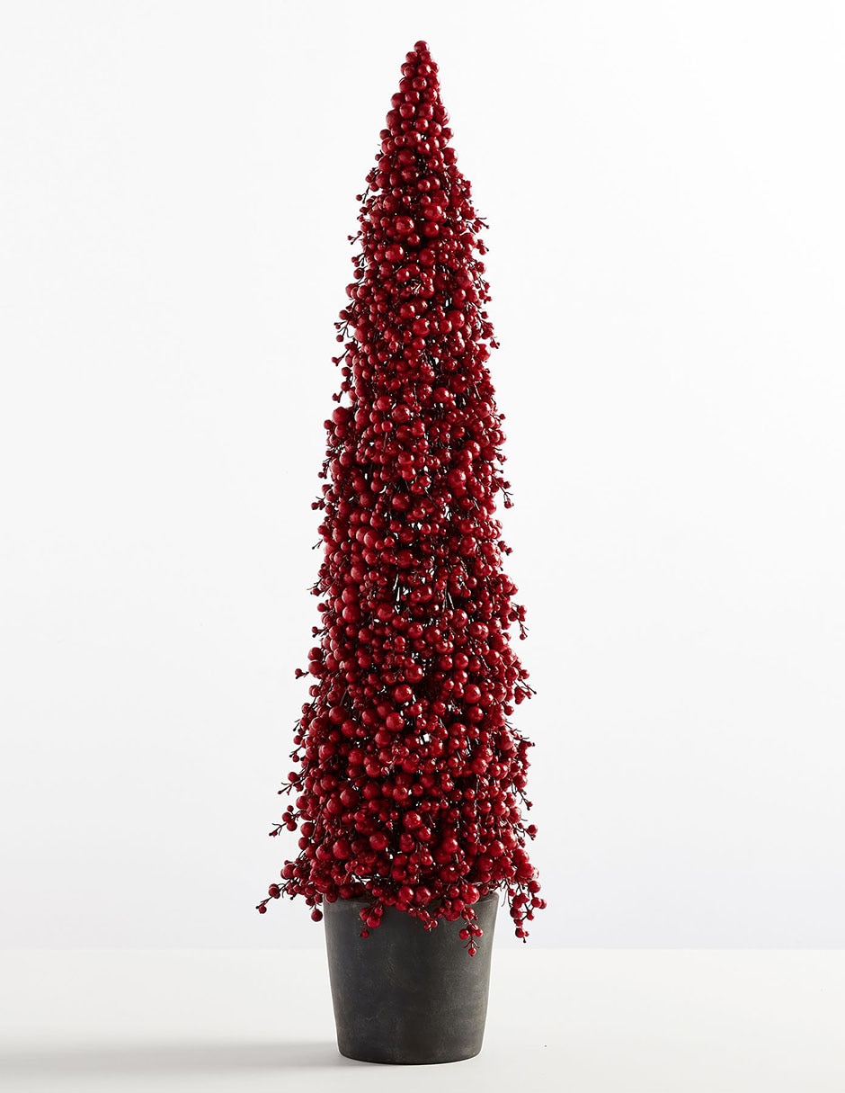 Pino Cluster Berry con maceta Pino Cluster Berry con maceta