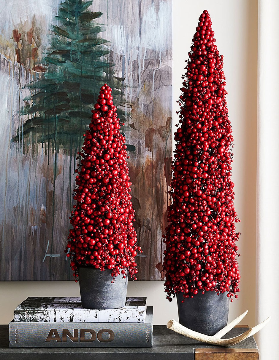Pino Cluster Berry con maceta 2