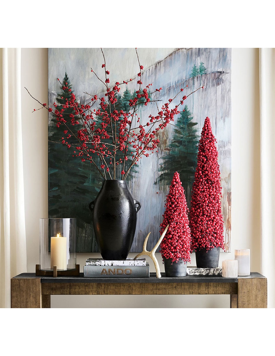 Pino Cluster Berry con maceta 4