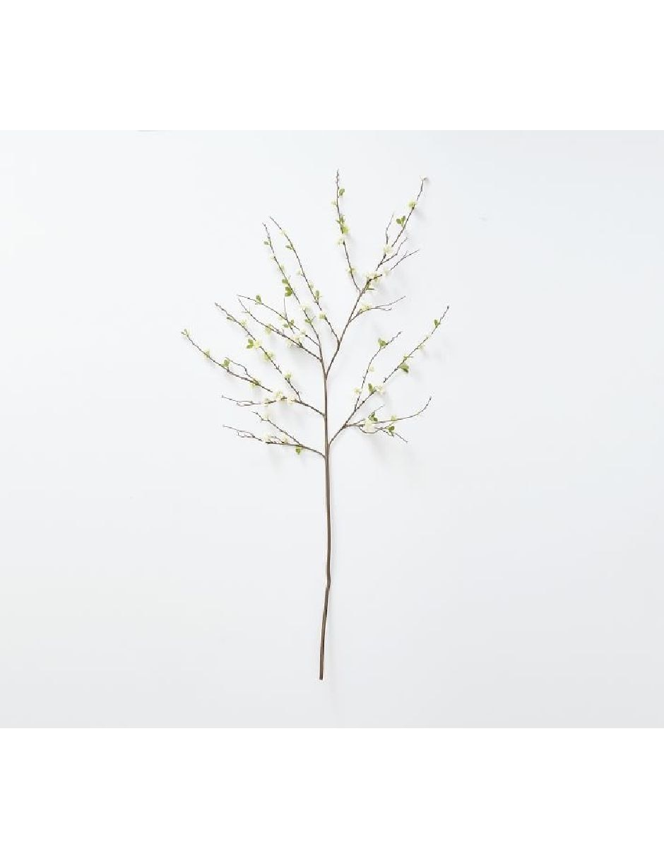 Cerezo decorativo White Blossom