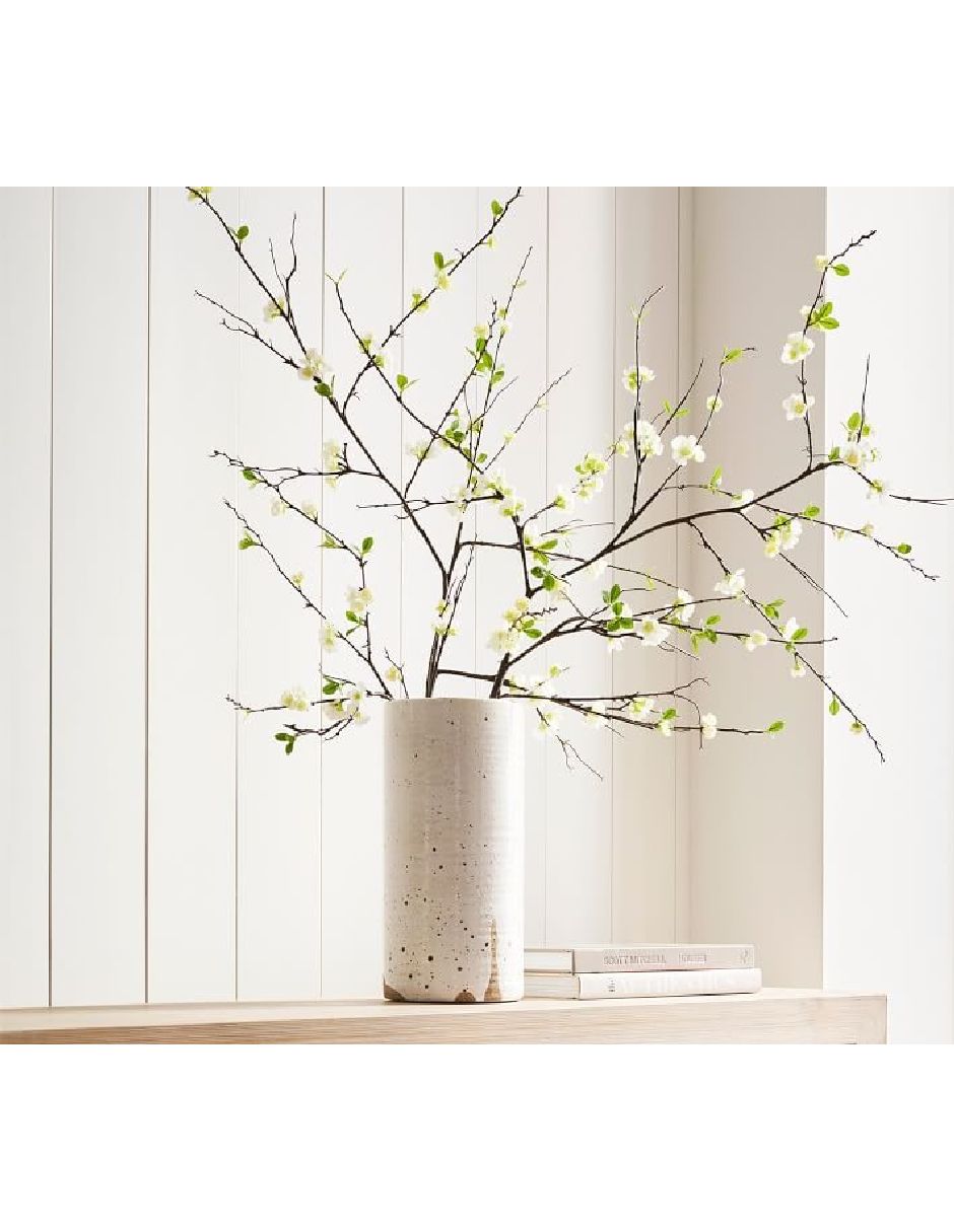 Cerezo decorativo White Blossom