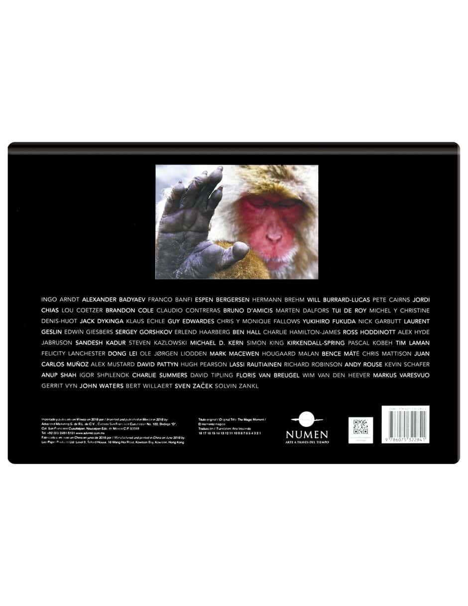 Libro El momento mágico de Numen 3