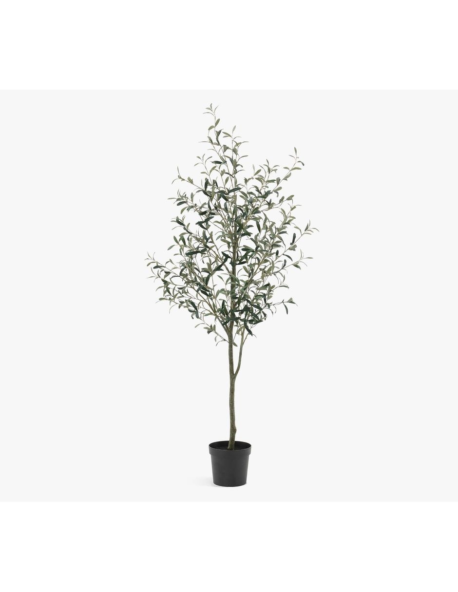Olivo Faux Potted 183 cm con maceta