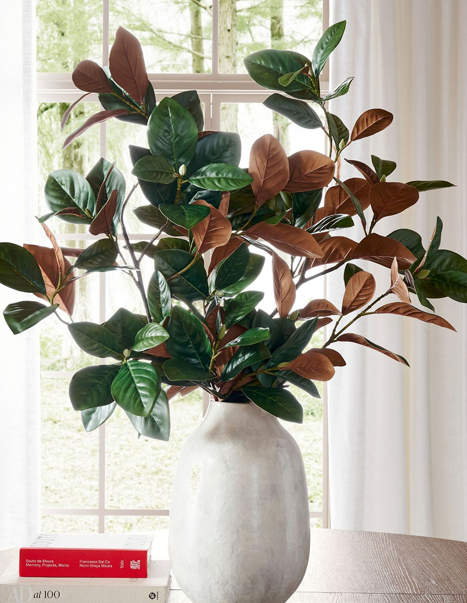 Magnolia decorativa branch 3