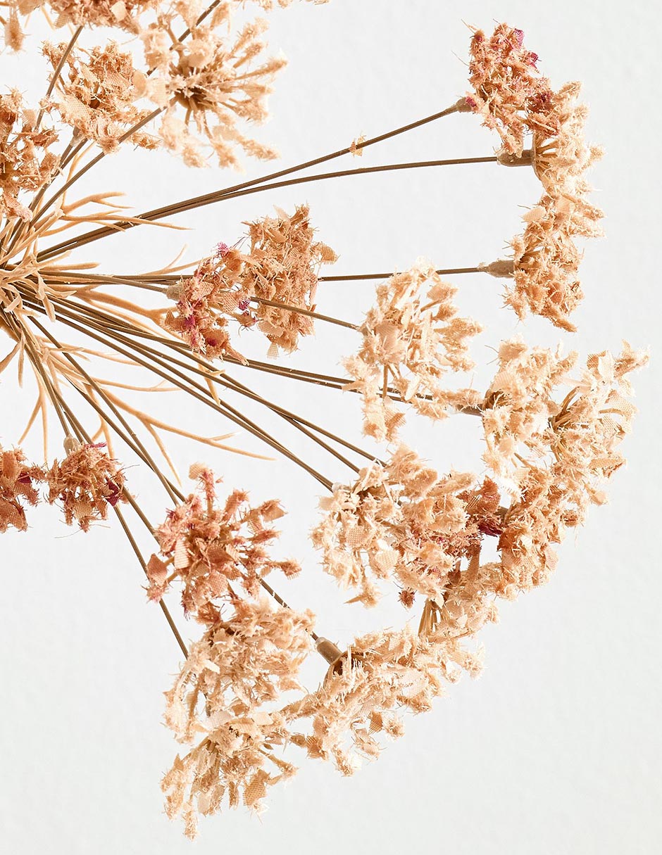 Daucus Carota decorativa Faux Branch