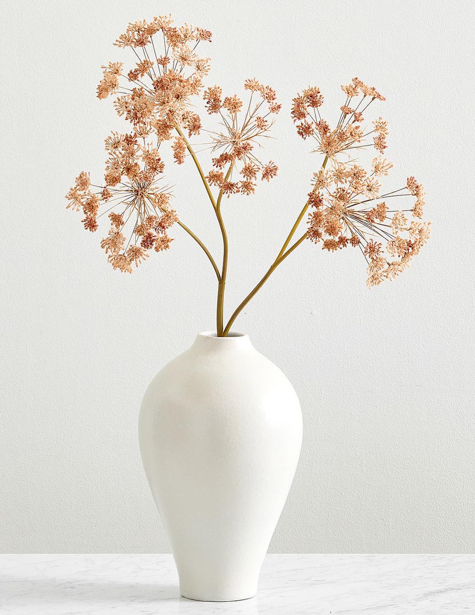 Daucus Carota decorativa Faux Branch