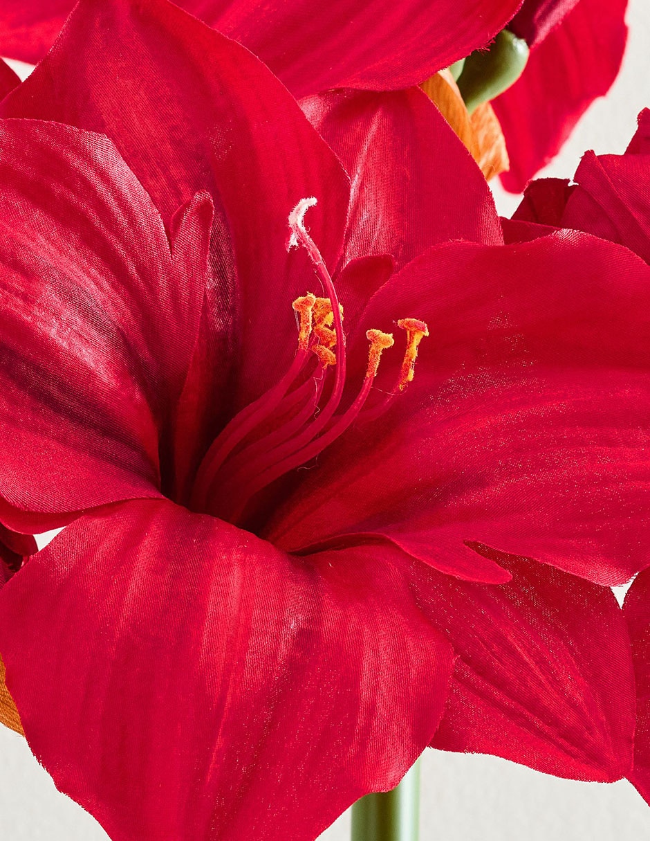 Amaryllis artificial Faux Stem 2
