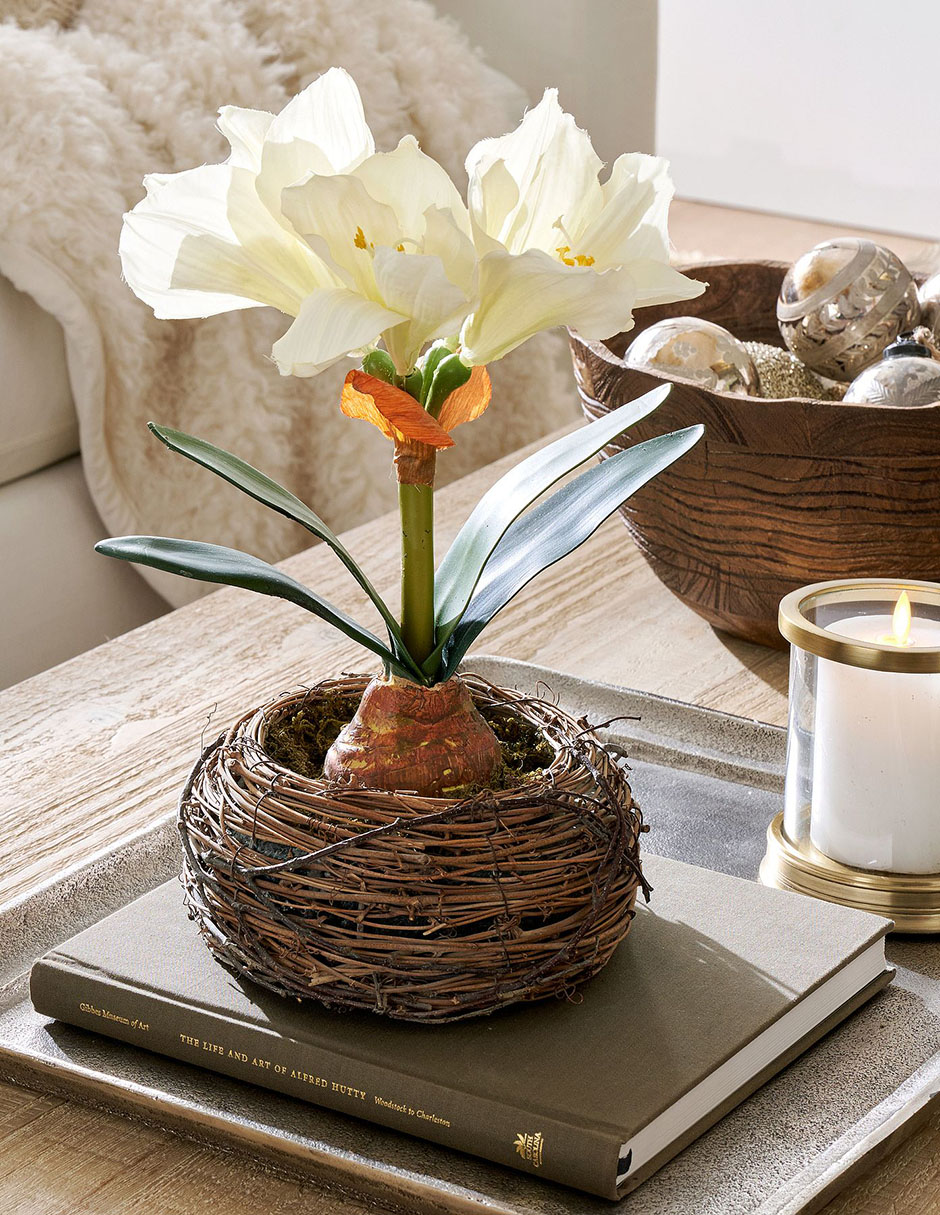 Amaryllis artificial Composed Amaryllis