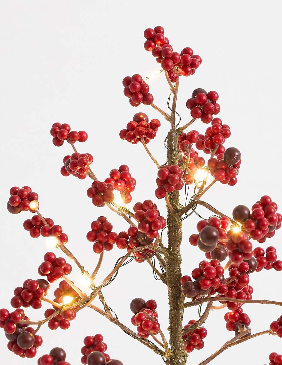 Estrella Blissful Berry con luz con maceta