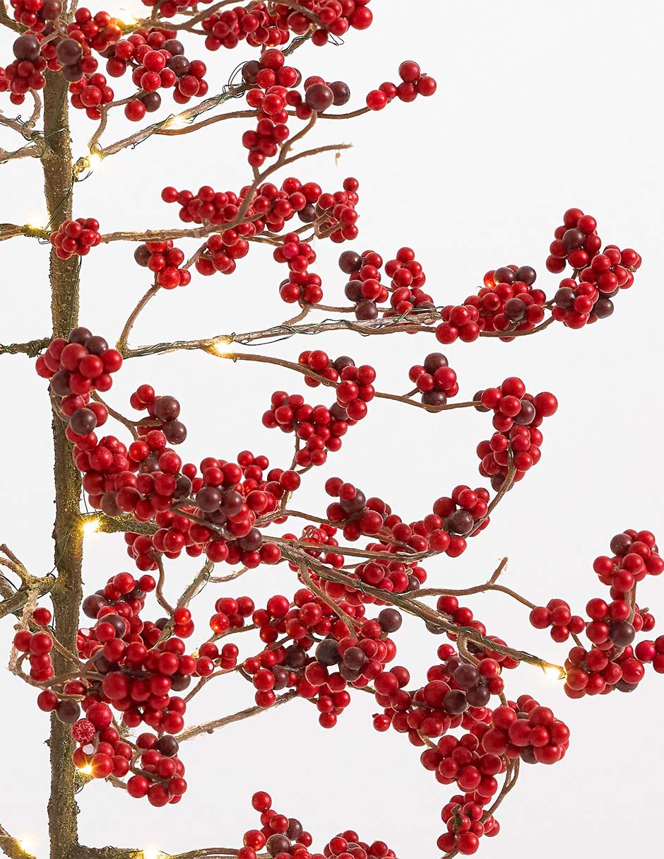 Estrella Blissful Berry con luz con maceta