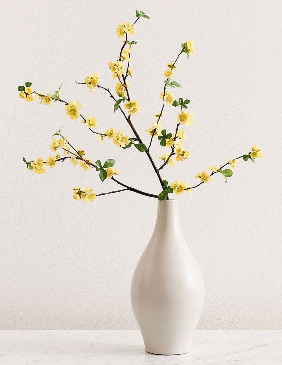 Membrillo decorativo Quince