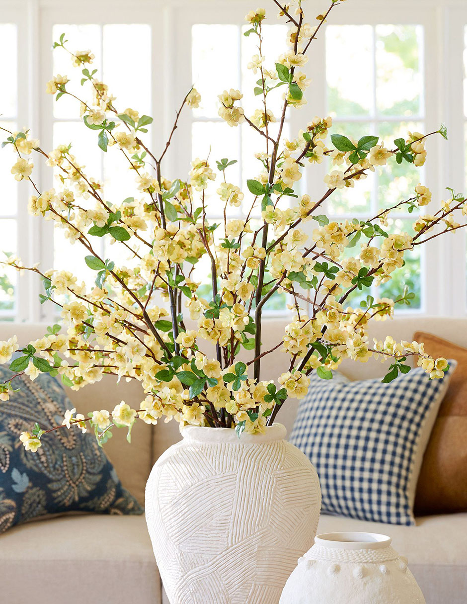 Membrillo decorativo Quince