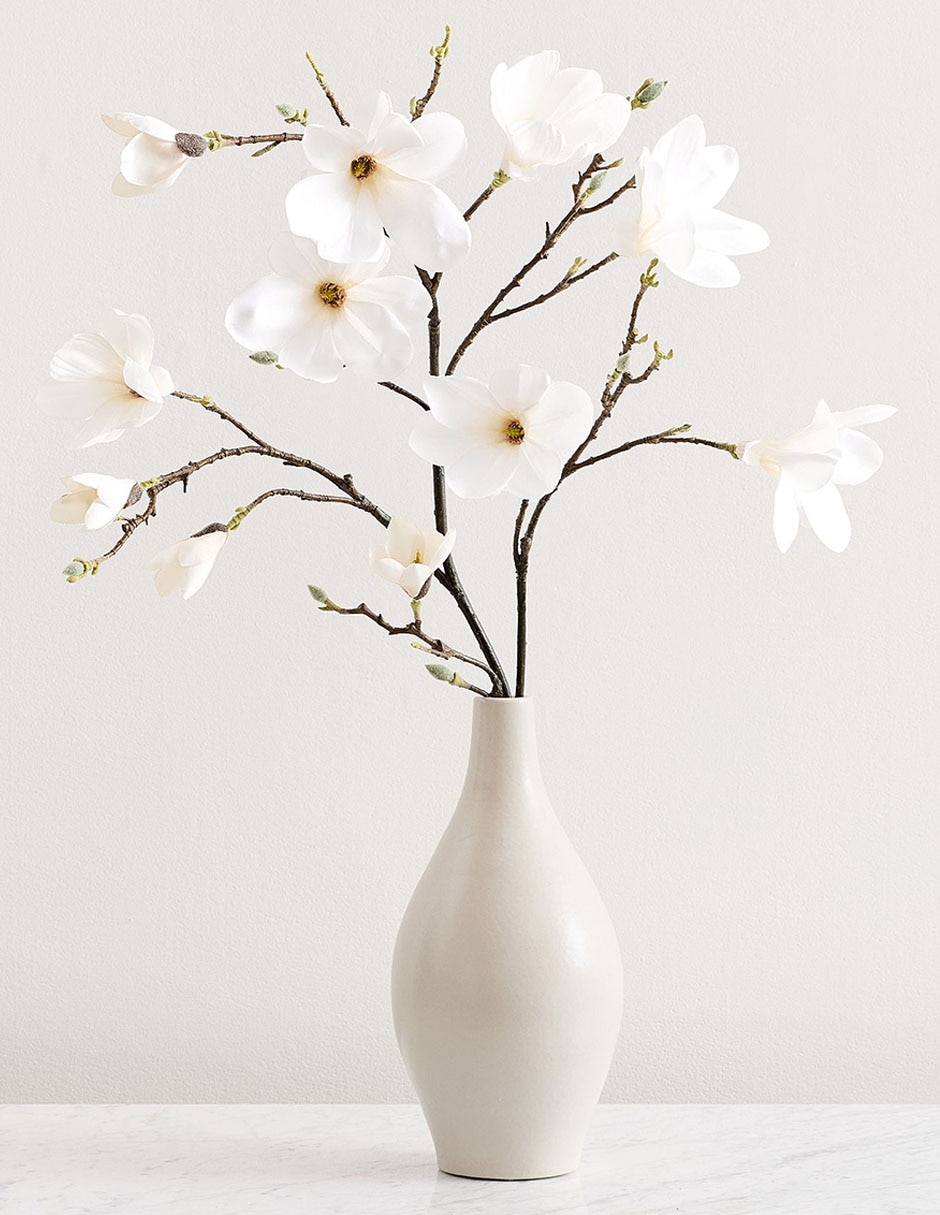 Magnolia decorativa Blooming Magnolia 6
