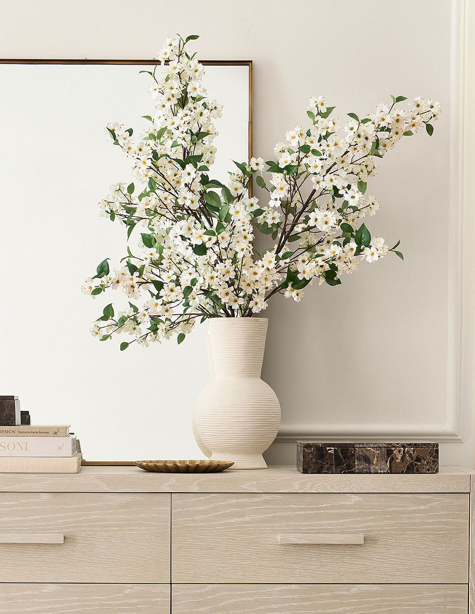 Cornejo decorativo Blooming Dogwood