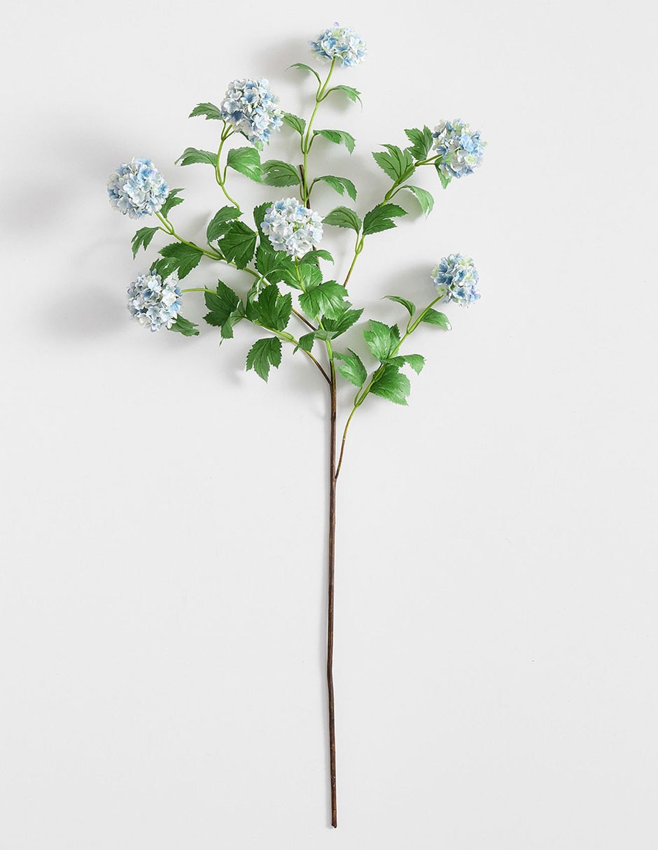 Hortensia decorativa Snowball