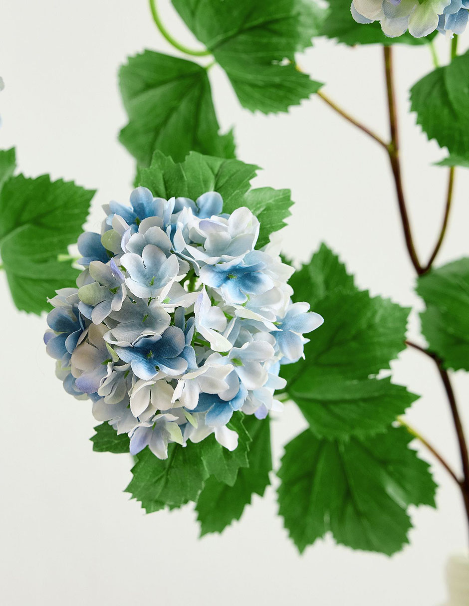 Hortensia decorativa Snowball