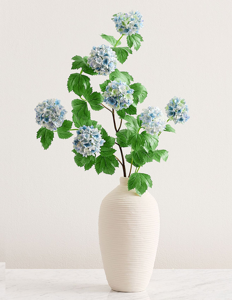 Hortensia decorativa Snowball