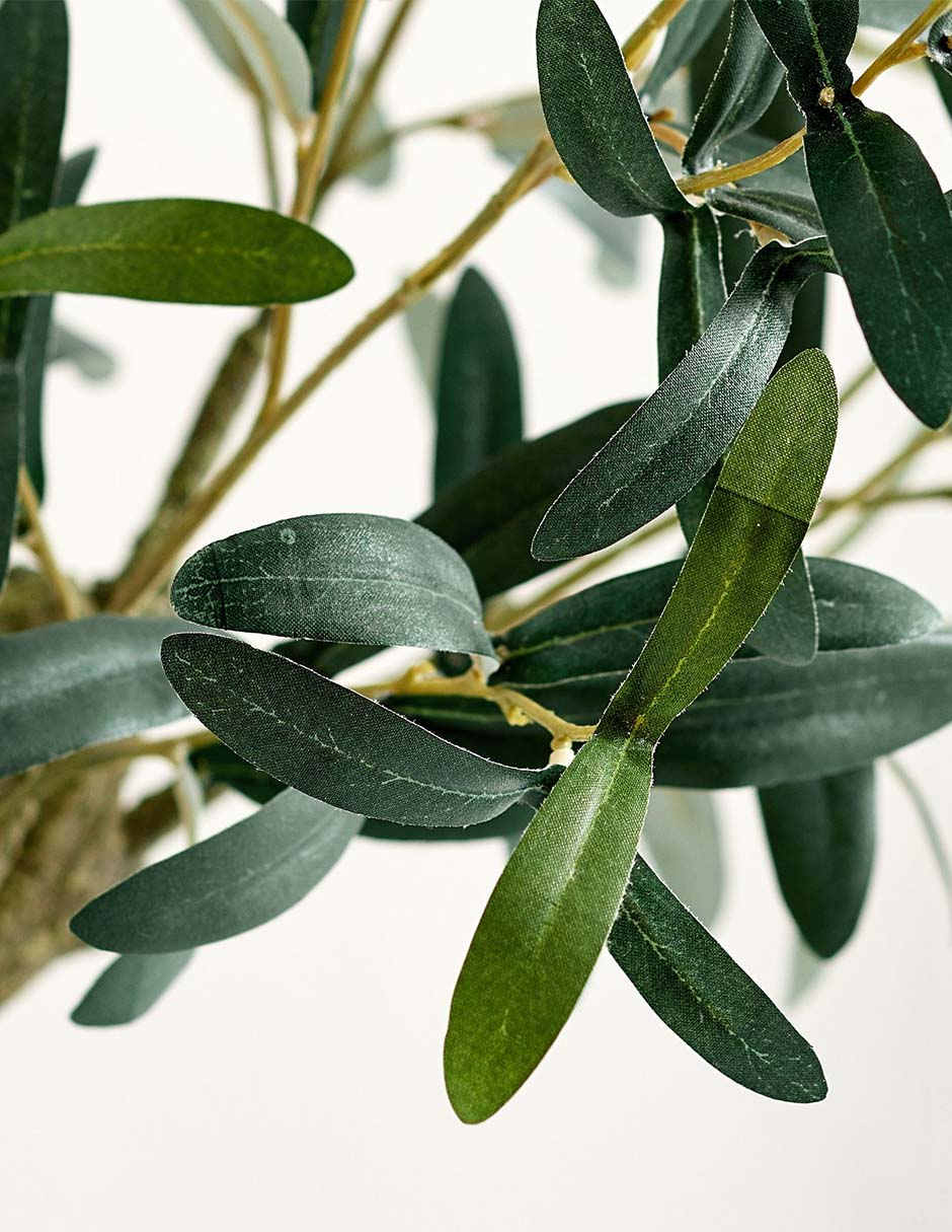Olivo Faux Olive 61 cm con maceta 4
