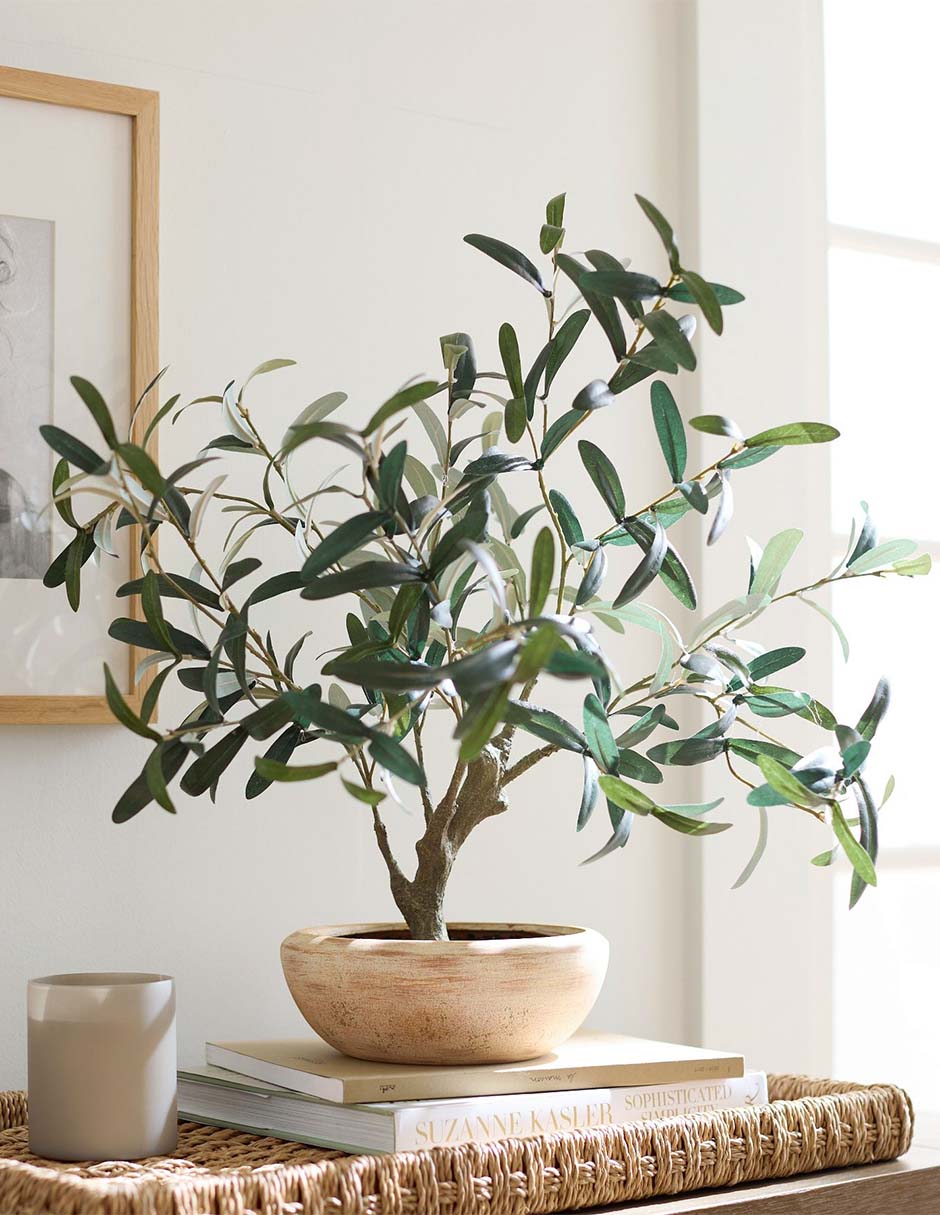 Olivo Faux Olive 61 cm con maceta 5
