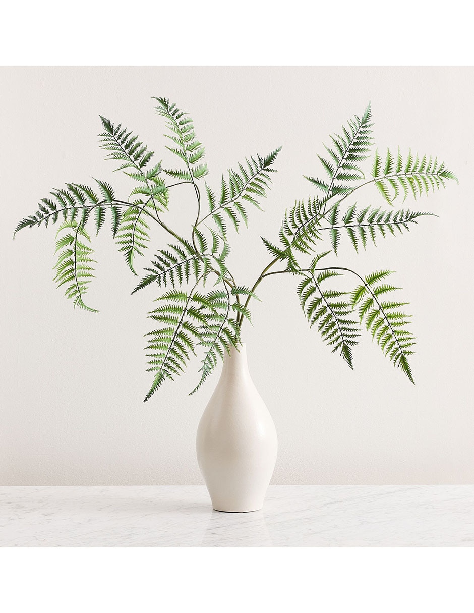 Helecho decorativo Oversized Fern