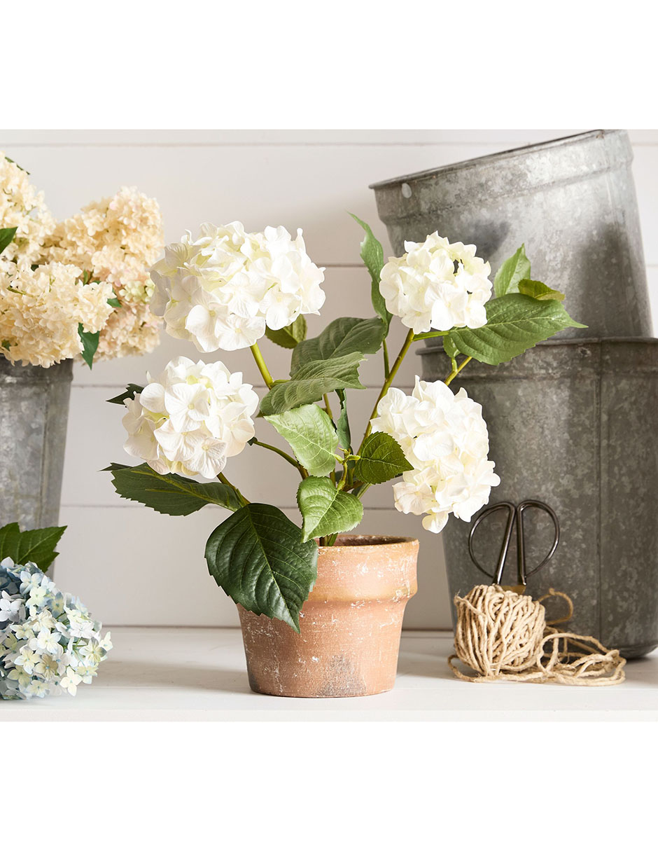 RAMO PB POTTED H, 45.72 CM, MULTICOLOR