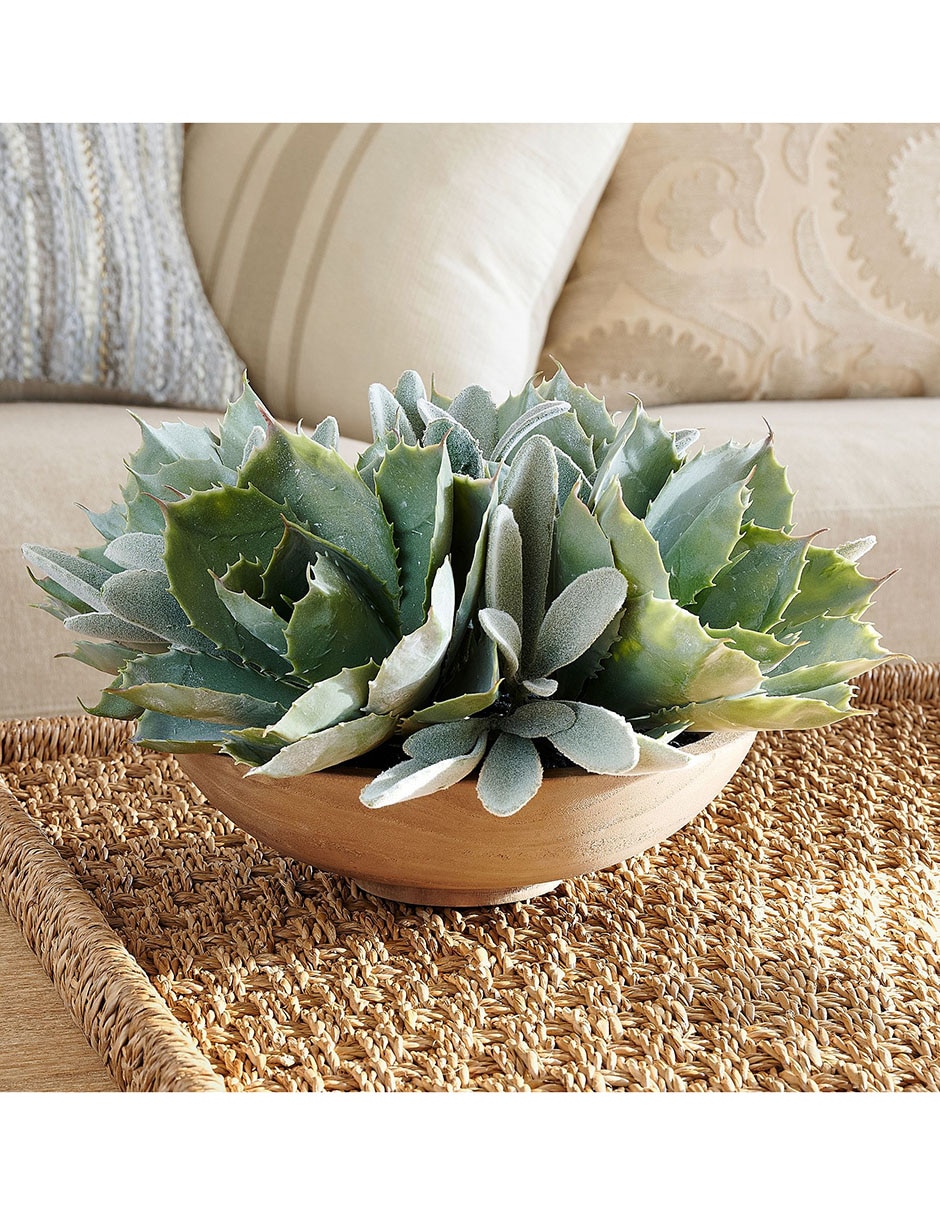 Suculenta artificial Faux Plants