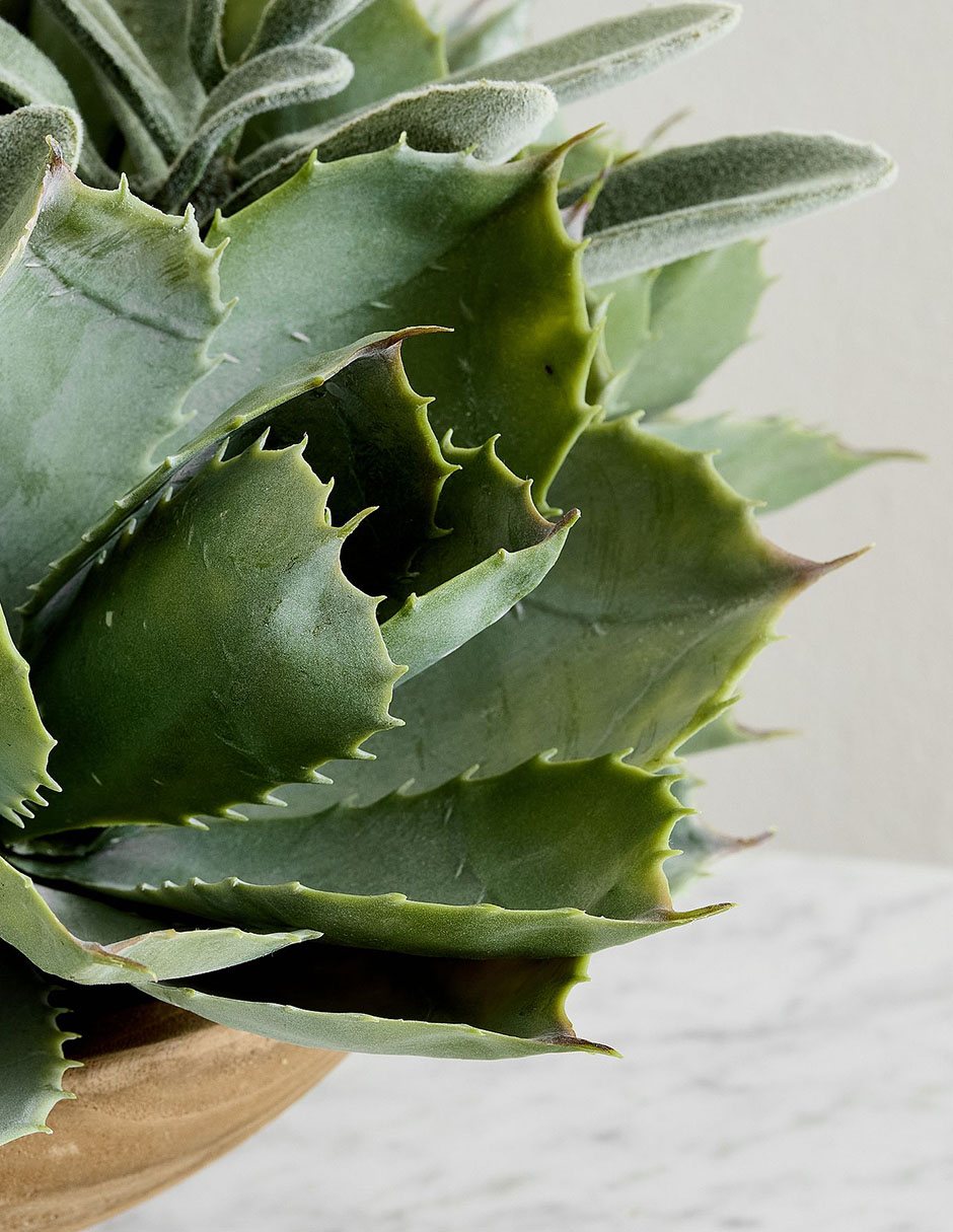 Suculenta artificial Faux Plants