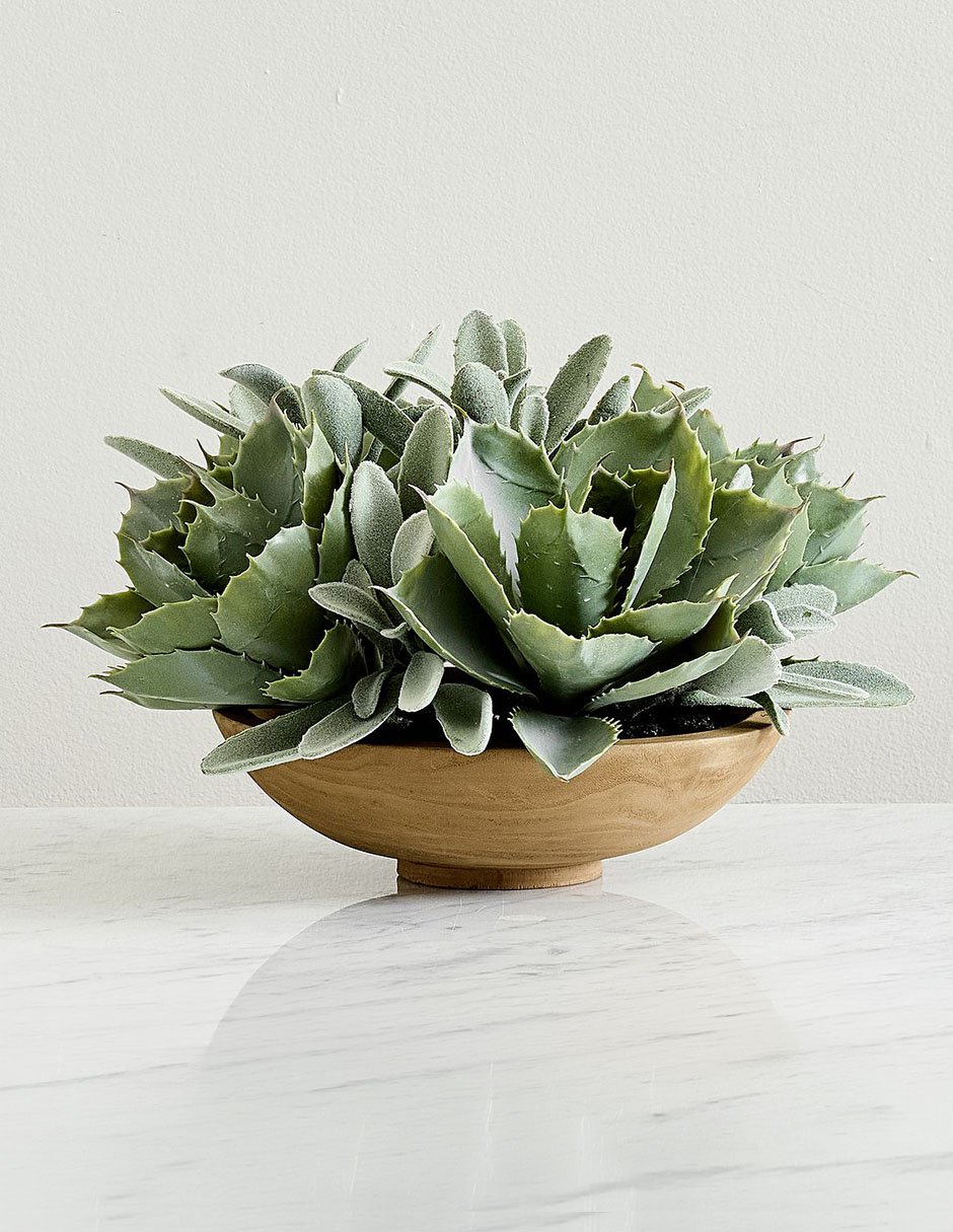 Suculenta artificial Faux Plants