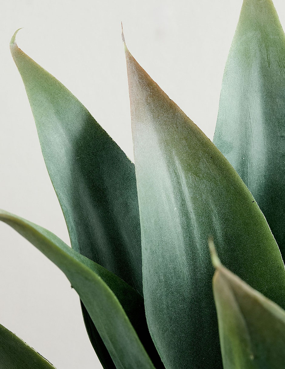 Agave artificial Faux Plants