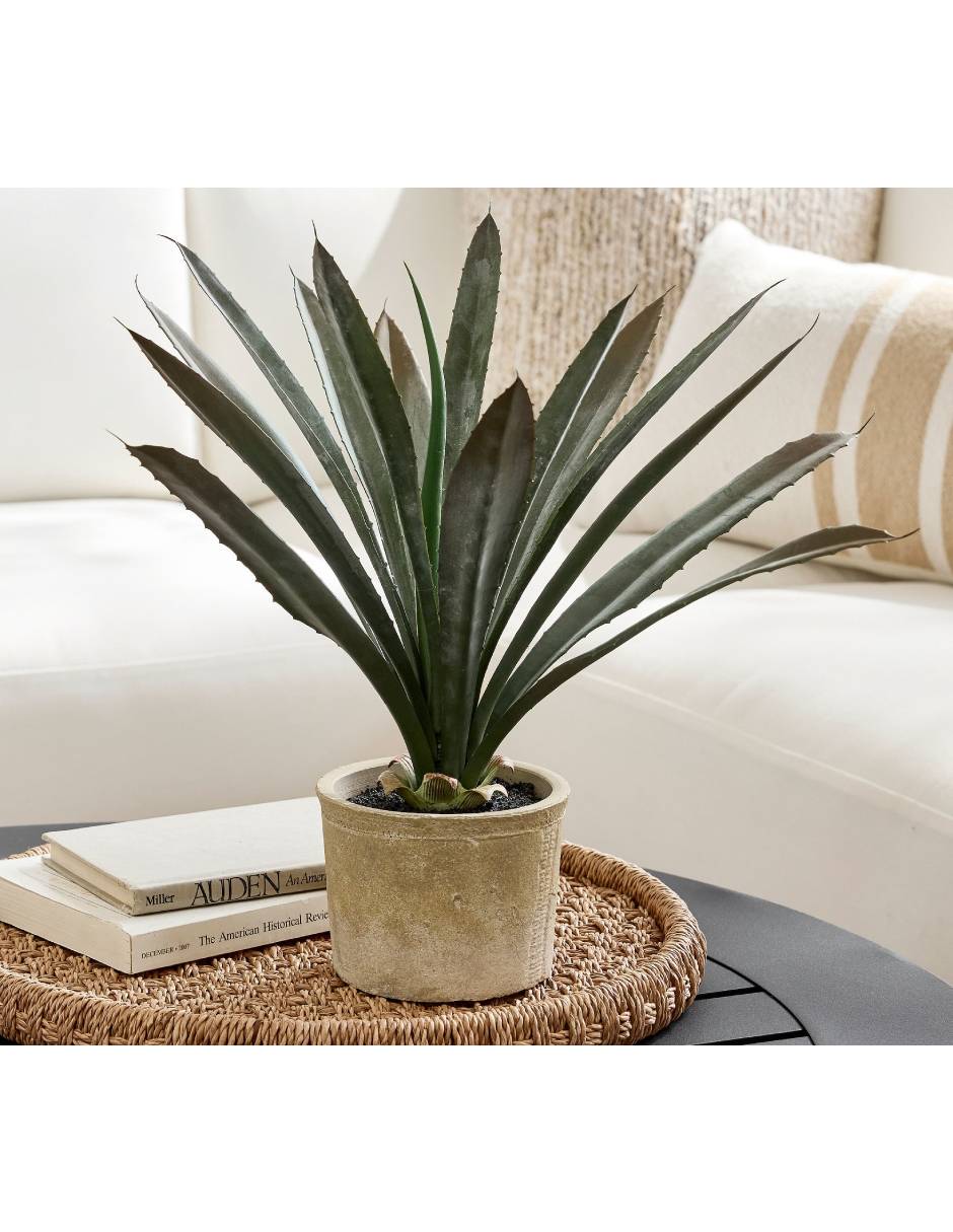 Agave artificial faux