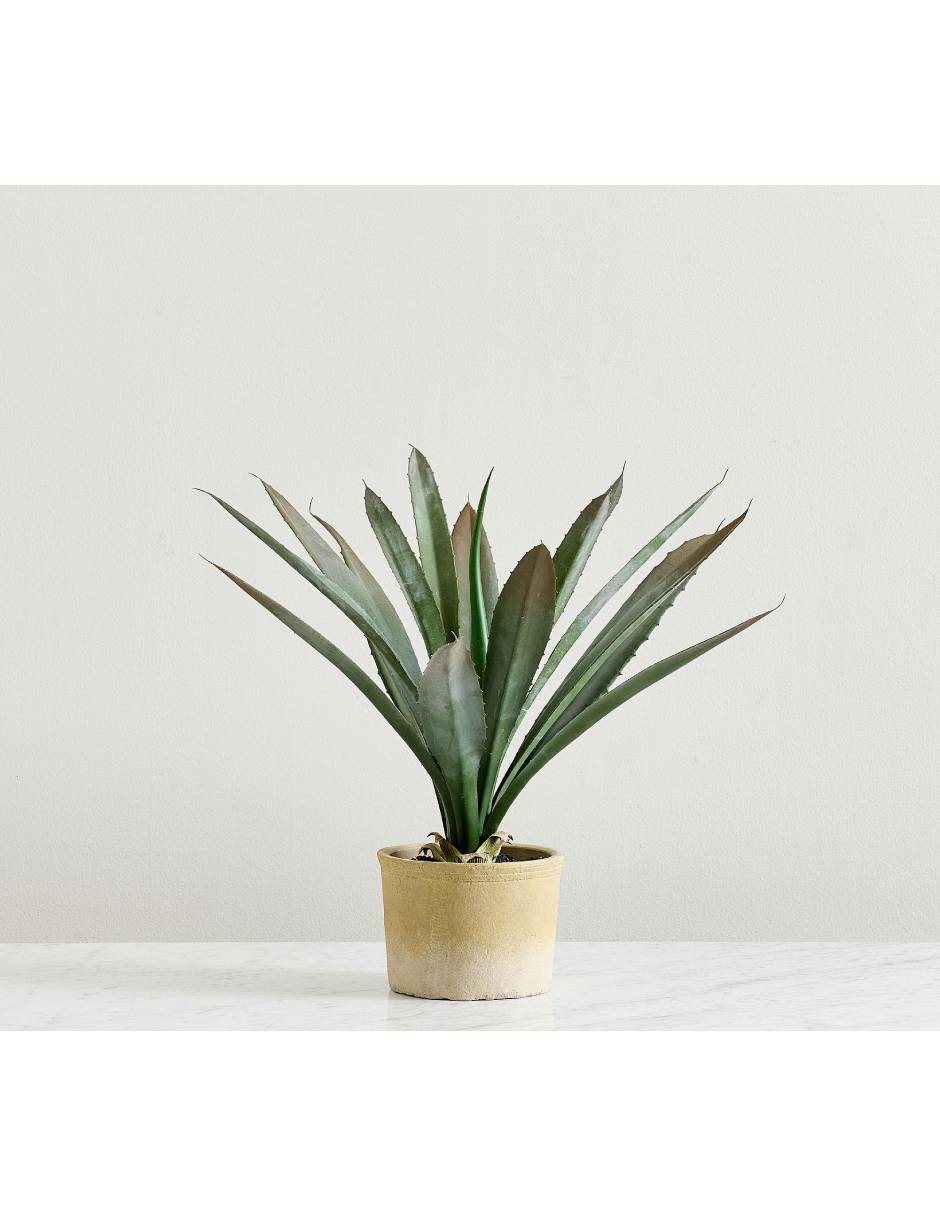 Agave artificial faux