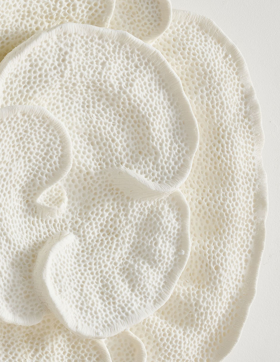 Arte para pared de coral Pottery Barn