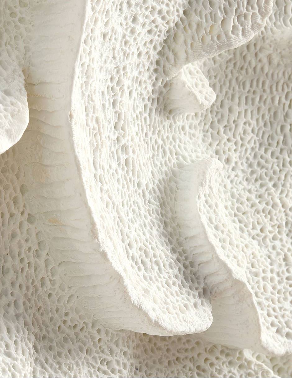Arte para pared de coral Pottery Barn