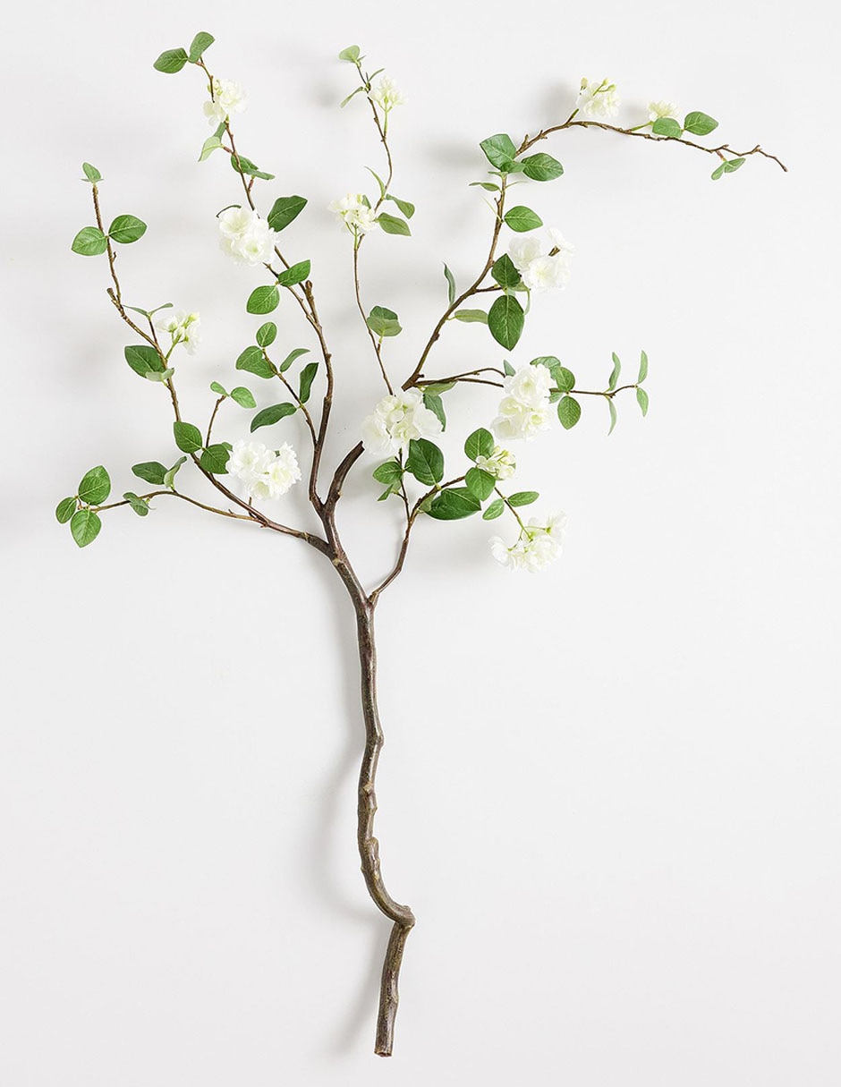 RAMA PB JASMINE BRAN, ESTÁNDAR, BLANCO