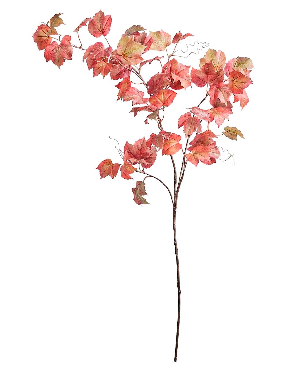 Rama decorativa maple leaf vine branch