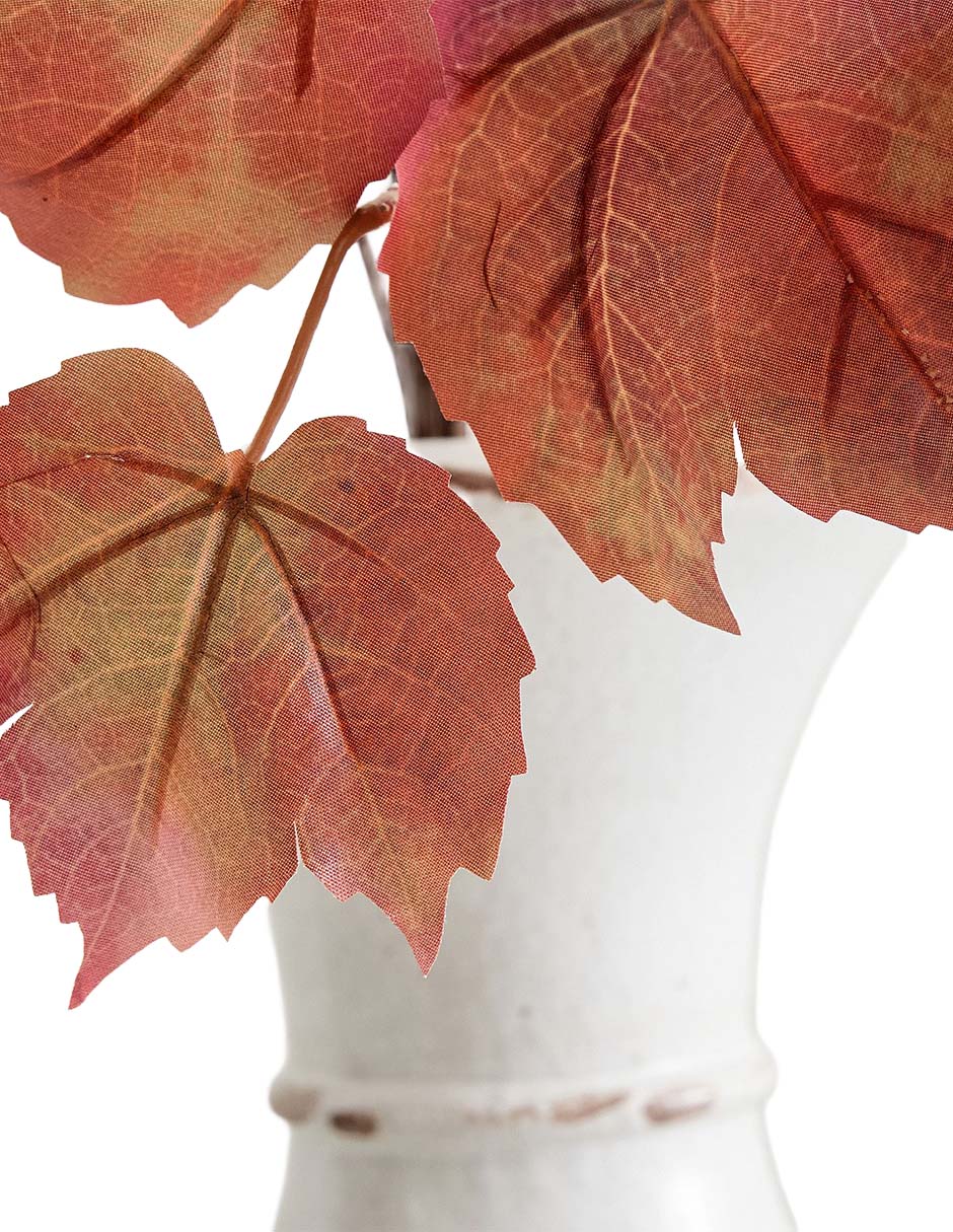 Rama decorativa maple leaf vine branch