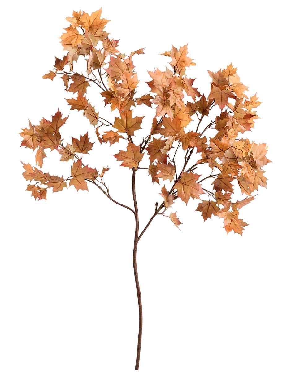 Maple decorativo Oversized Maple Branch