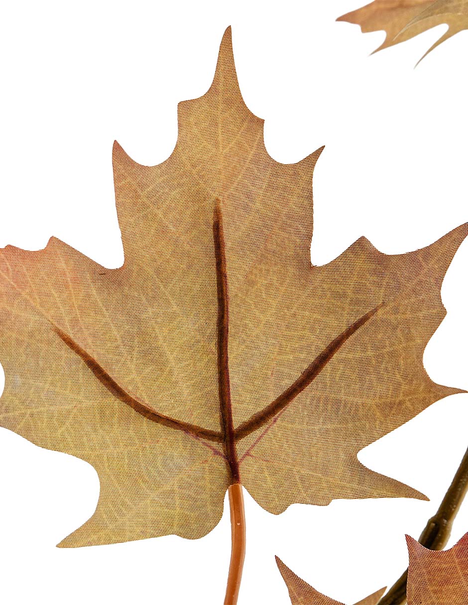 Maple decorativo Oversized Maple Branch 2
