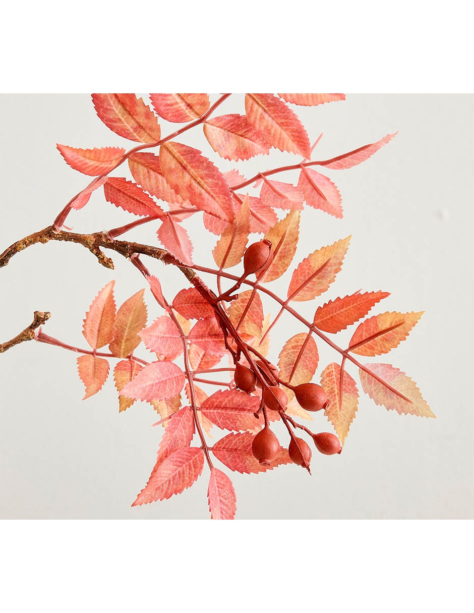 Rama hoja de arce decorativo berry branch
