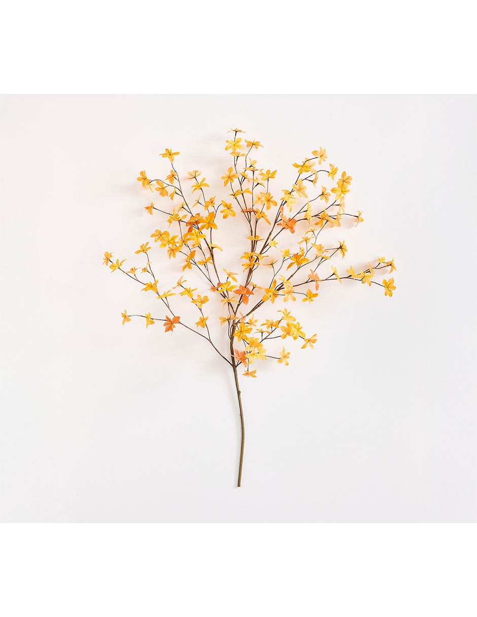 Gypsophila acutifolia decorativa
