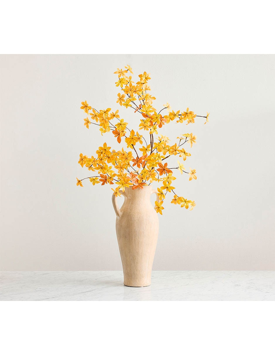 Gypsophila acutifolia decorativa 3