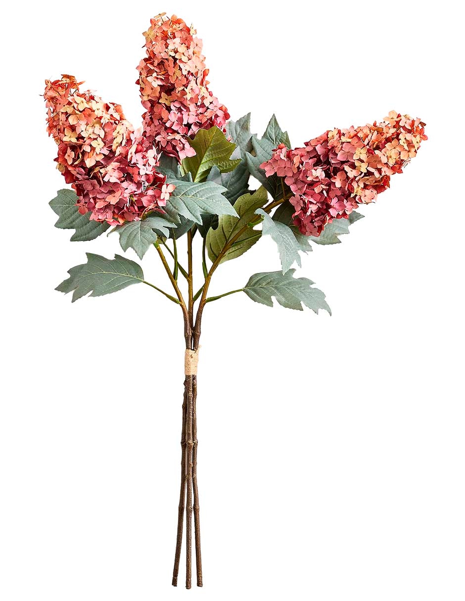 Hortensia decora oversized hydrangea cone stem Hortensia decora oversized hydrangea cone stem